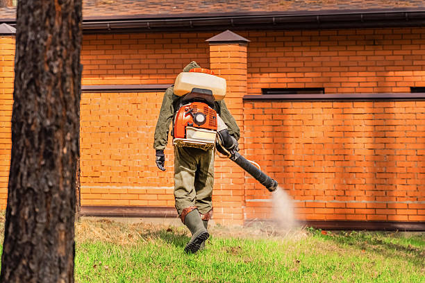 Trusted Termite Control service in Butler, WI - Nex Pest Control
